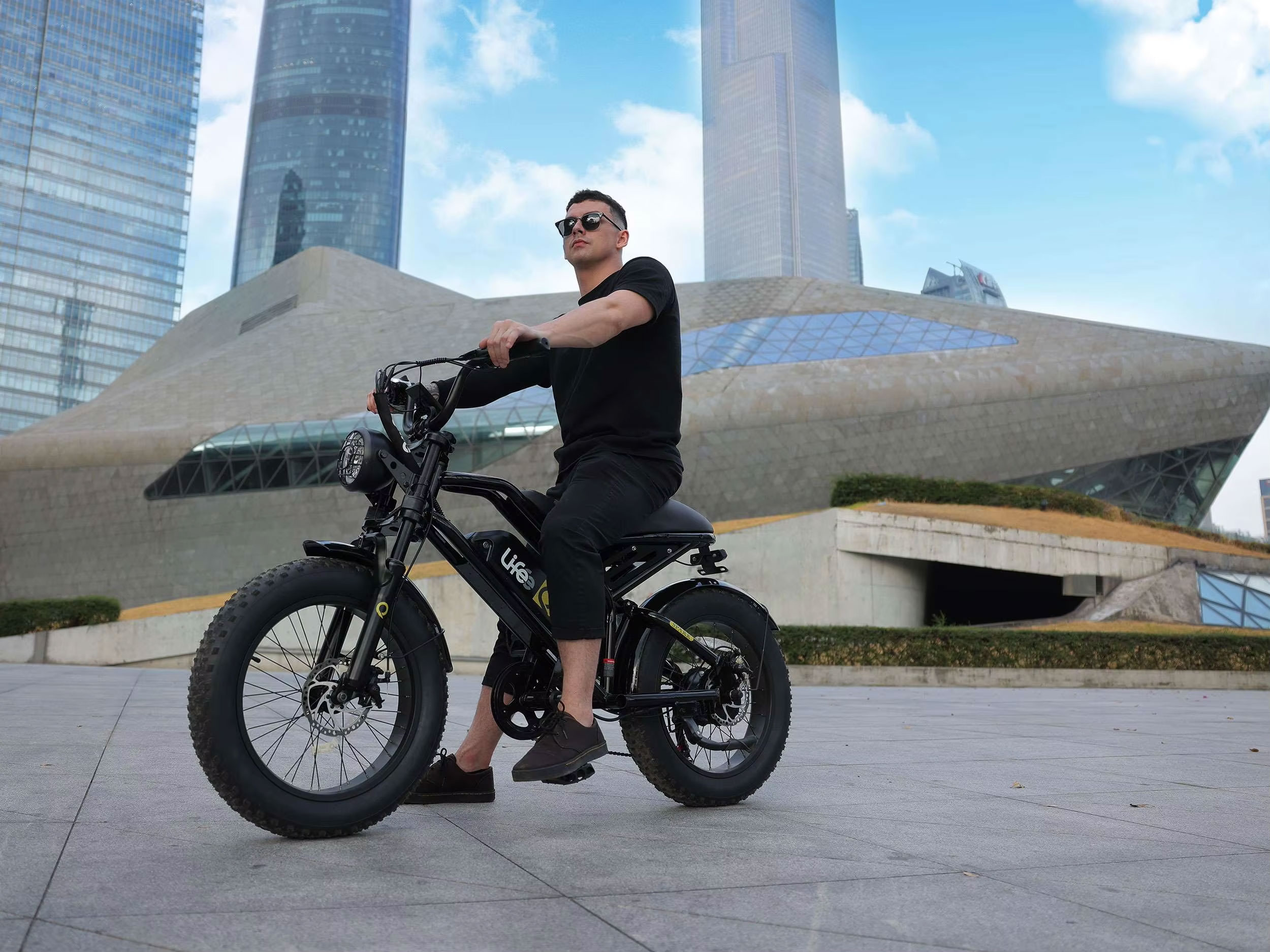 Qlife Spark Free Us Shipping Adult 48V 15.6Ah Full Suspension Electric Assist Fat Tire Mountain Bike q4